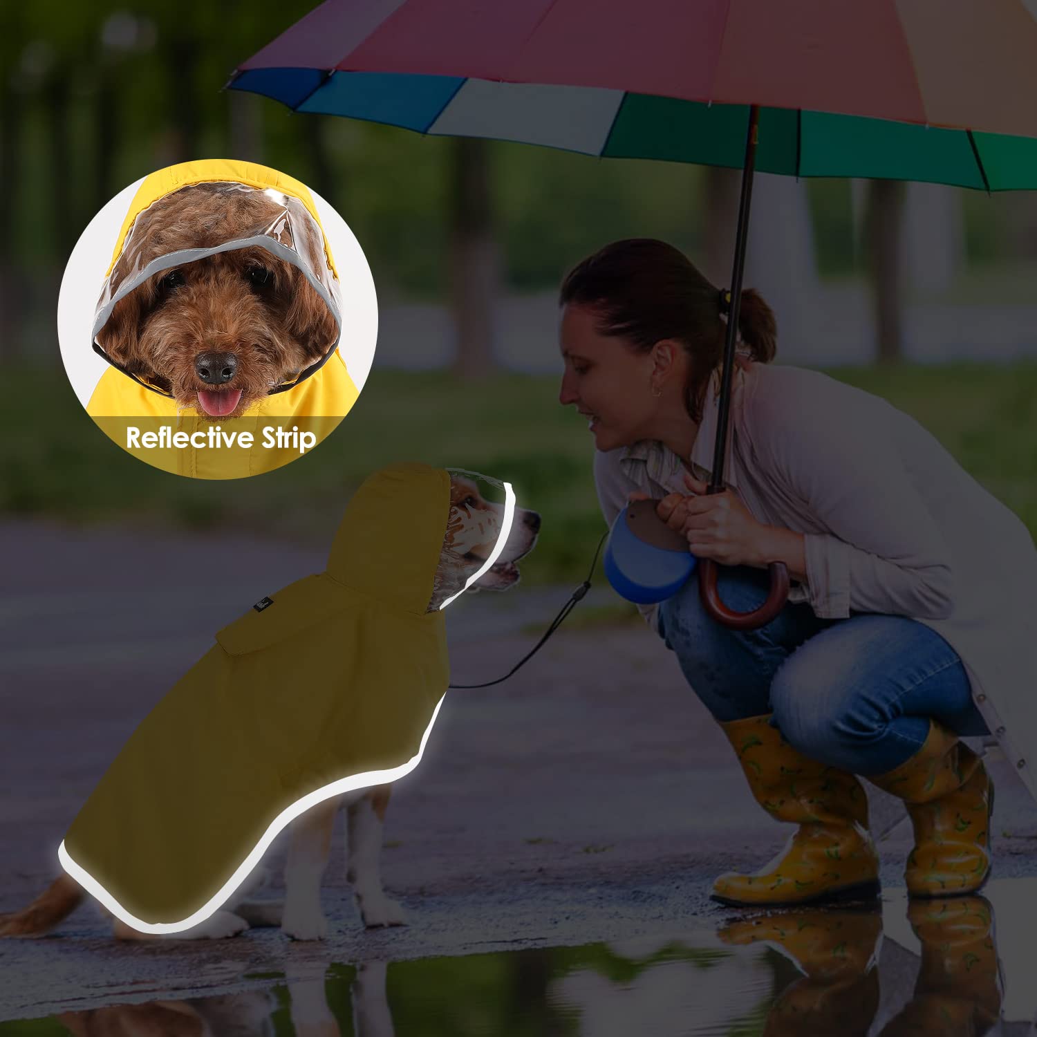 SlowTon dog raincoat size-range view highlights 7 sizes for various dogs.