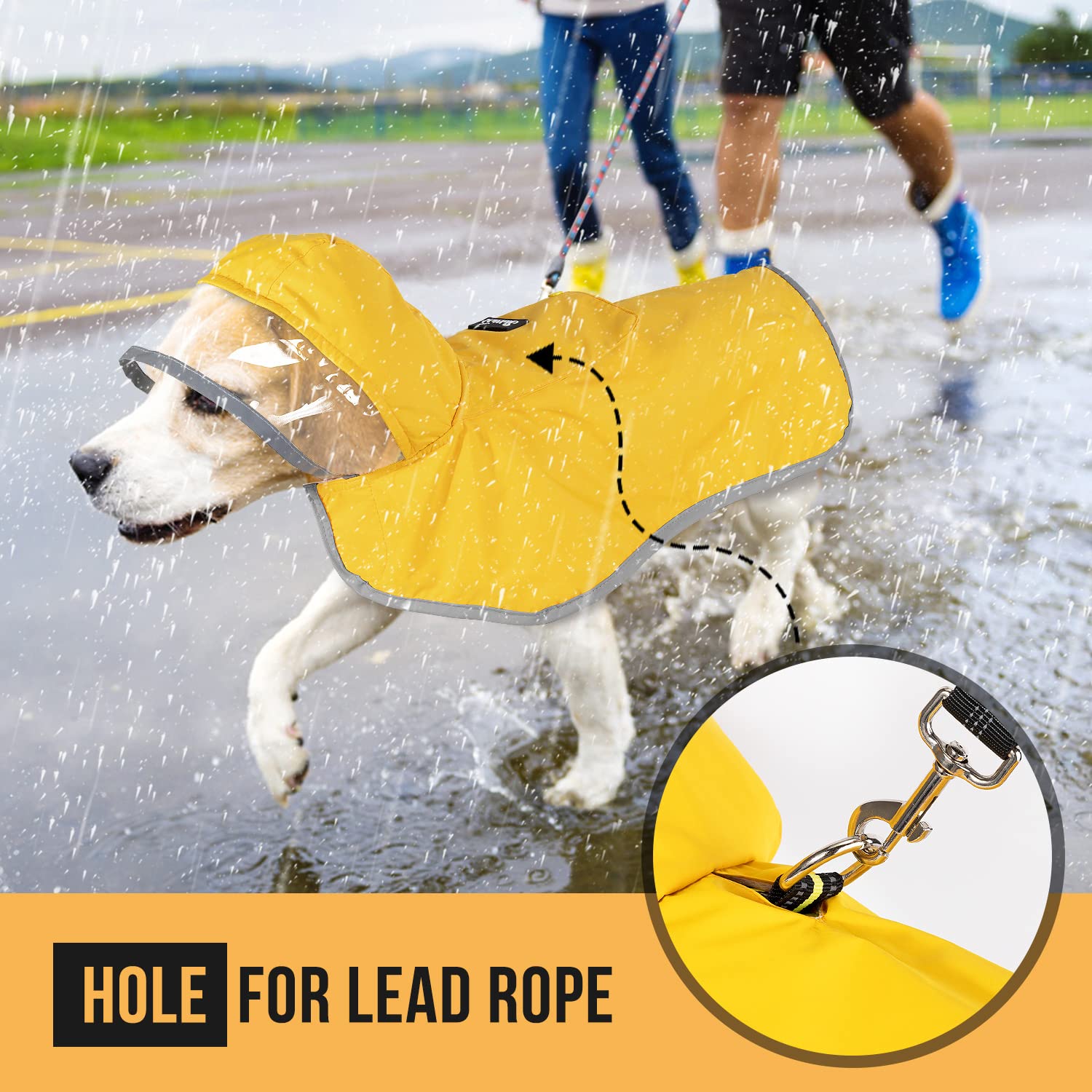 SlowTon dog raincoat worn on dog showing rain protection and movement.