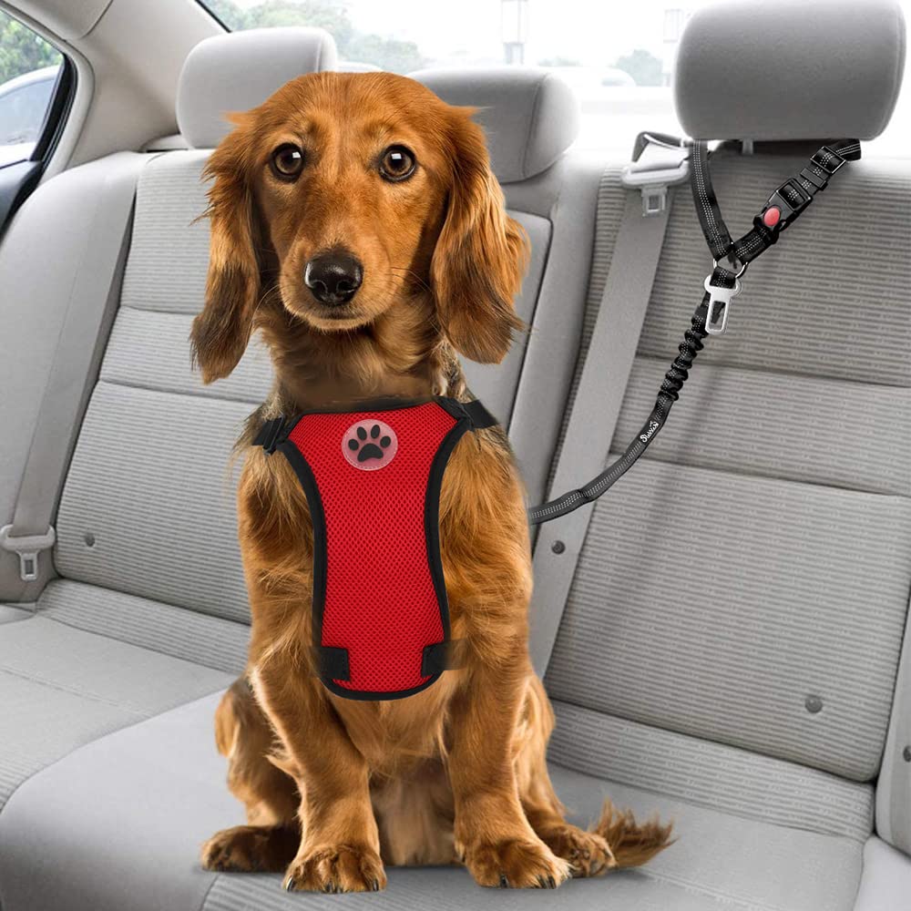 SlowTon 2-pack offers flexibility for multiple cars or backups.