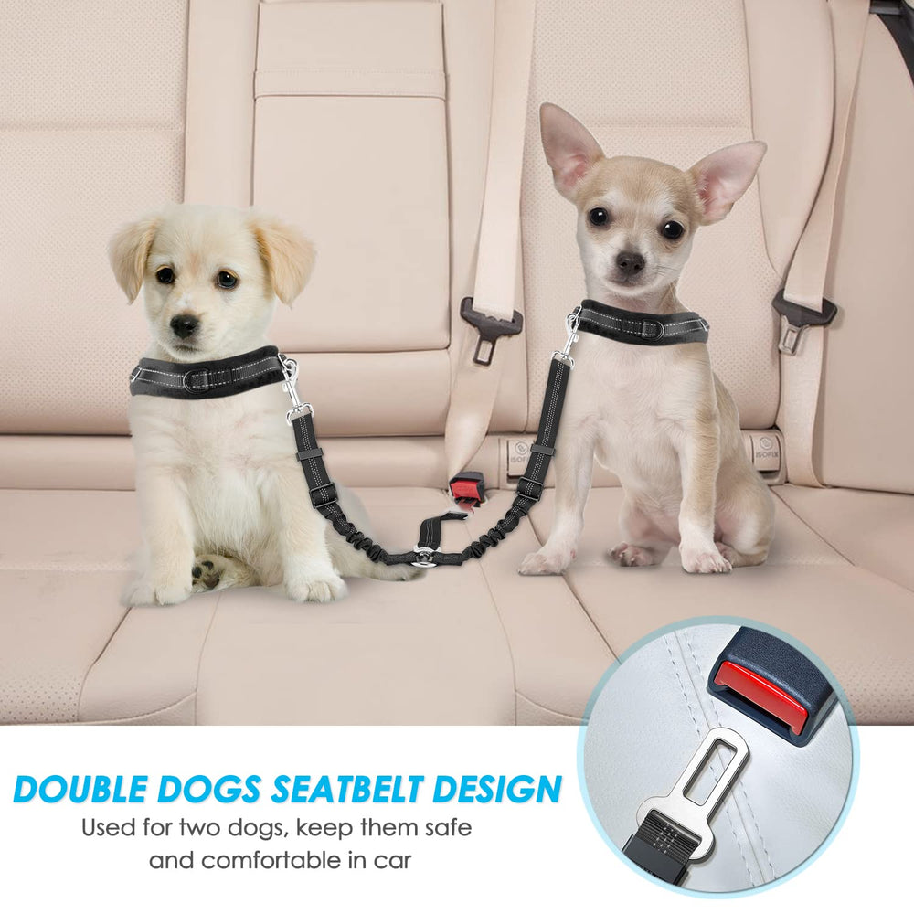 SlowTon inverted-Y design keeps two dogs separated and untangled for smoother trips.