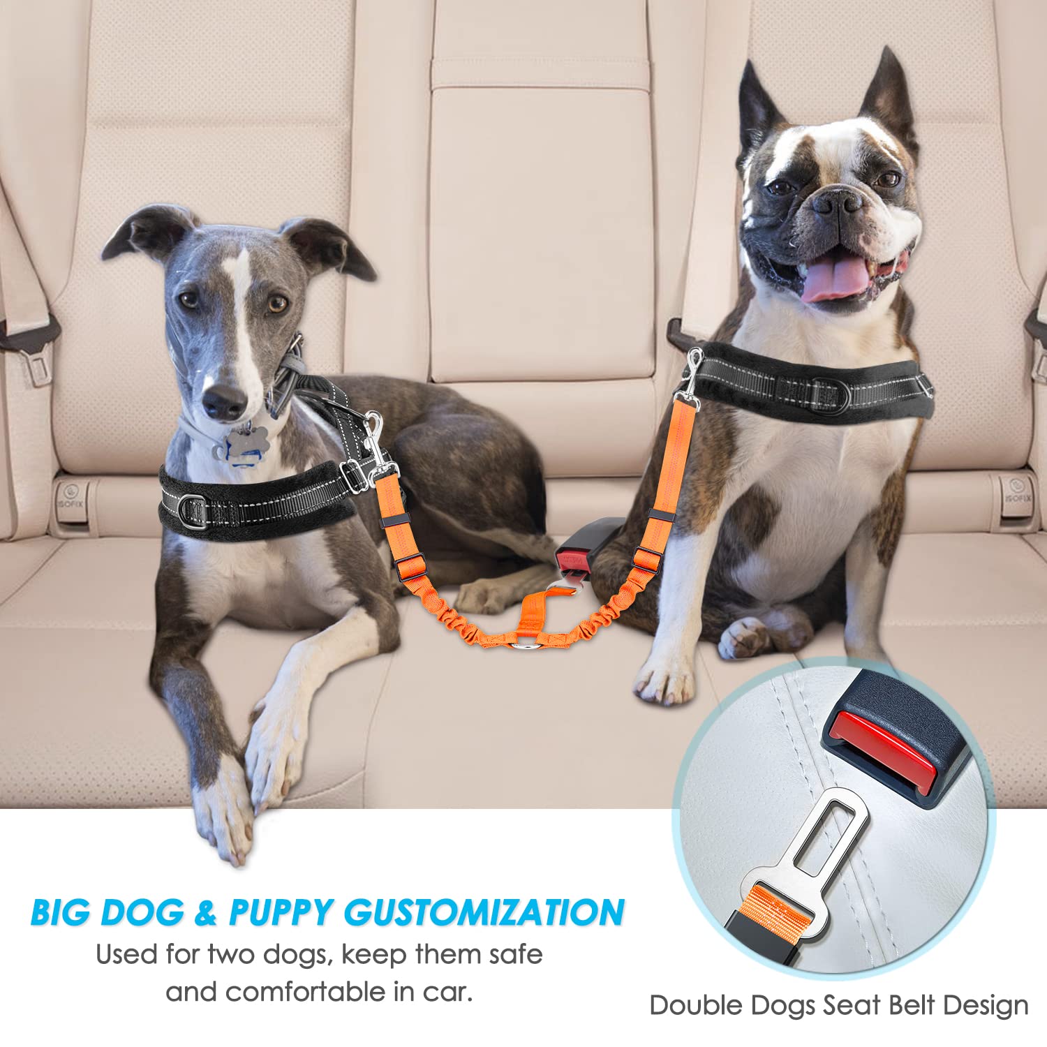 SlowTon dog seatbelt elastic-bungee shows flexible length for comfortable motion.