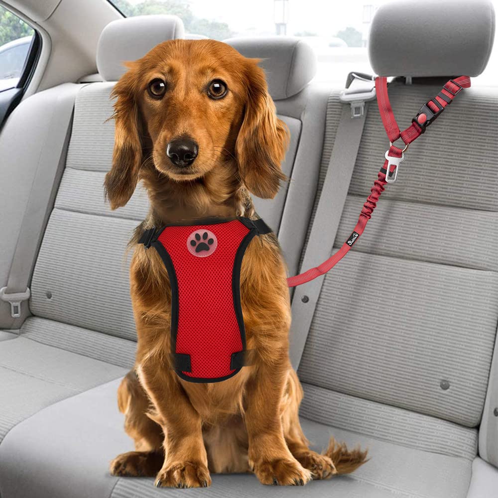 SlowTon dog seatbelt in-car use shows versatile travel restraint.