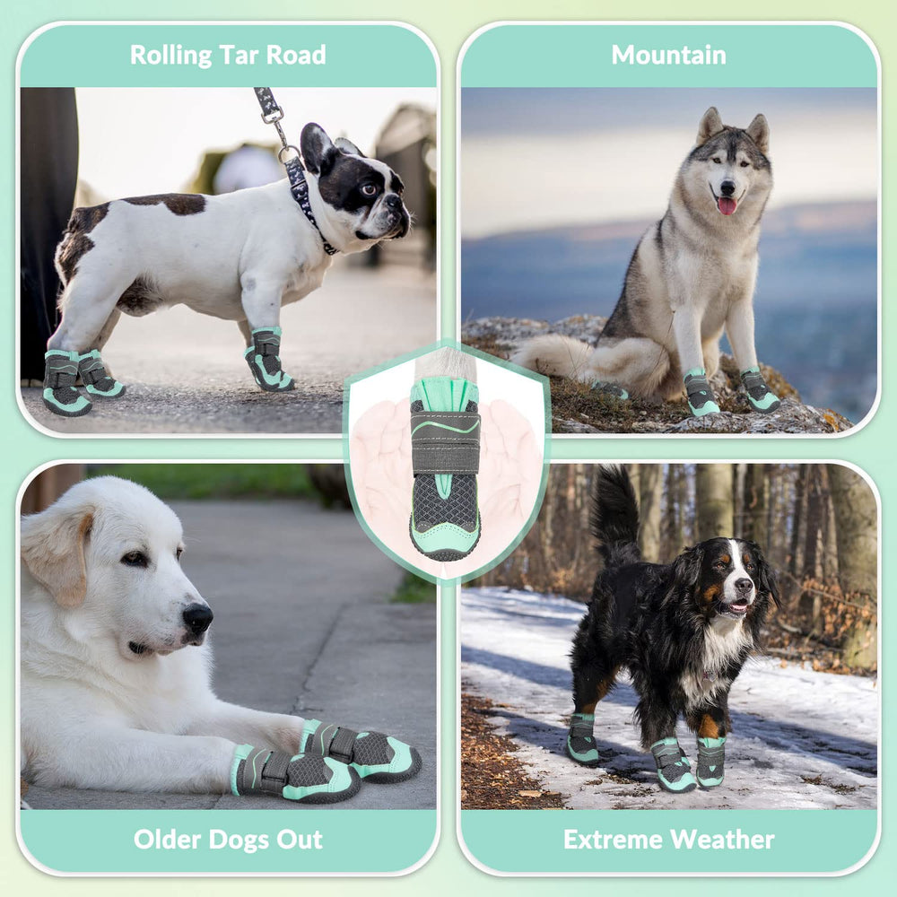 SlowTon dog shoes green color on active dog during outdoor walk