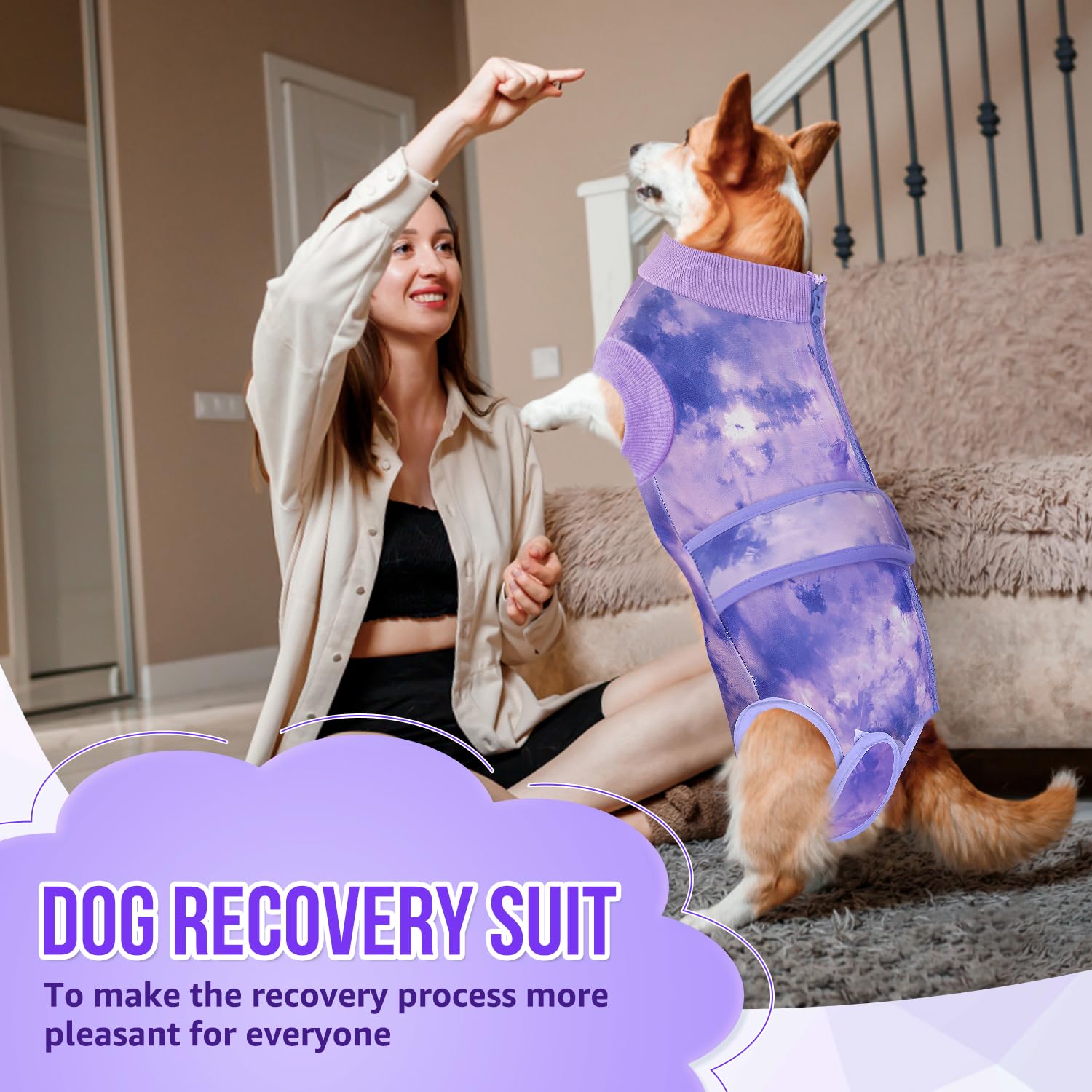 SlowTon daily-comfort wear helps pets feel safe and cozy.