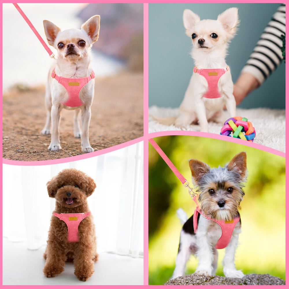 SlowTon dog harness on a sunny stroll showcases comfortable fit and secure control.