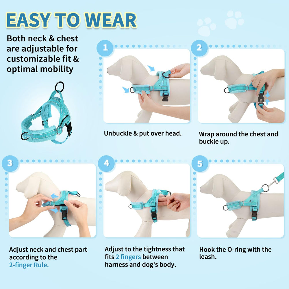 SlowTon dual-ring system gives flexible training and walking options.