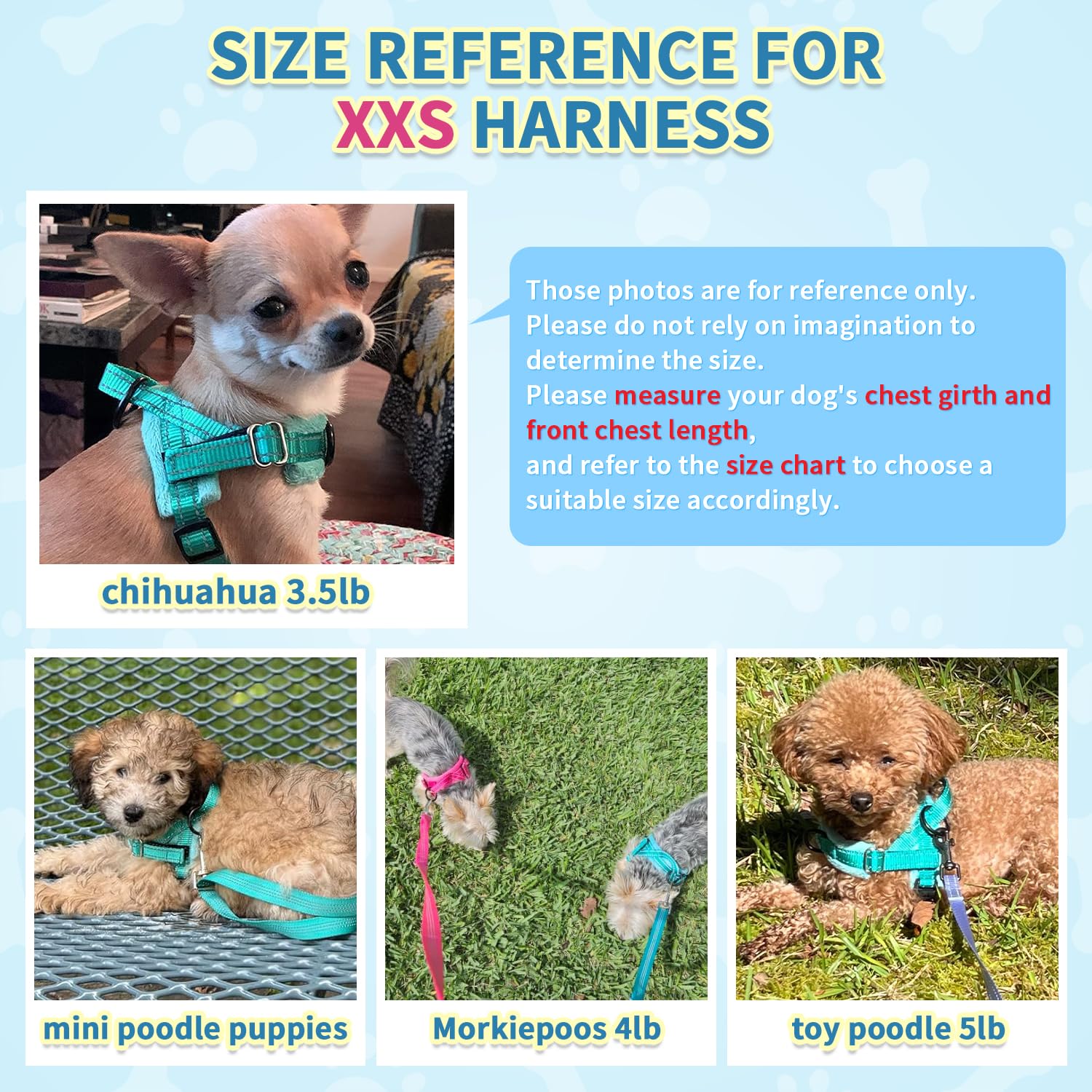 SlowTon durable lightweight harness suited for small dogs and puppies.