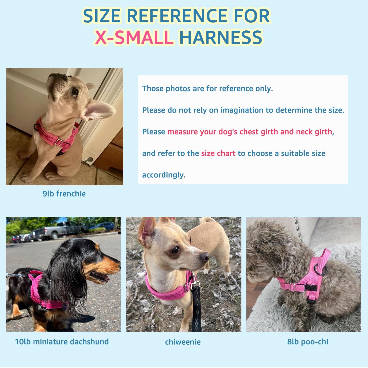 SlowTon easy-on lightweight harness demonstrates quick on/off and gentle fit.