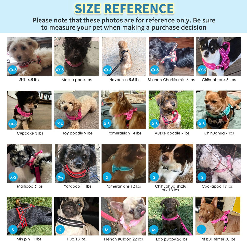 SlowTon easy-on snap buckle enables swift on/off for quick outings.