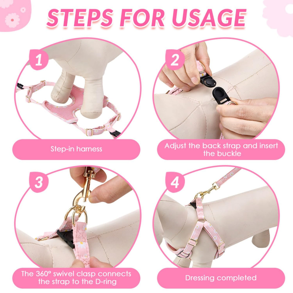 SlowTon harness and leash set supports training and everyday outings.