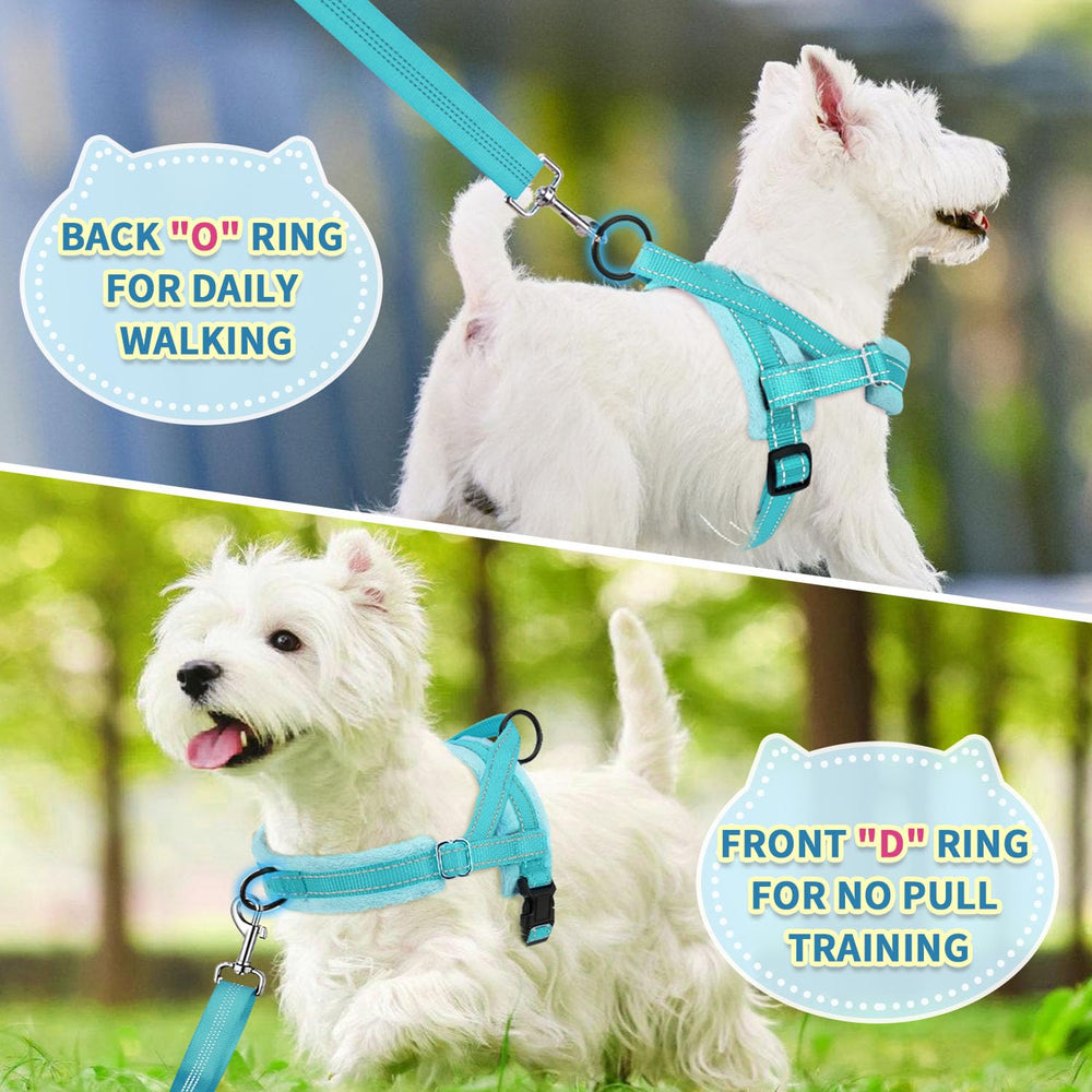 SlowTon 4ft leash with bungee absorbs shocks during lively daily walks.