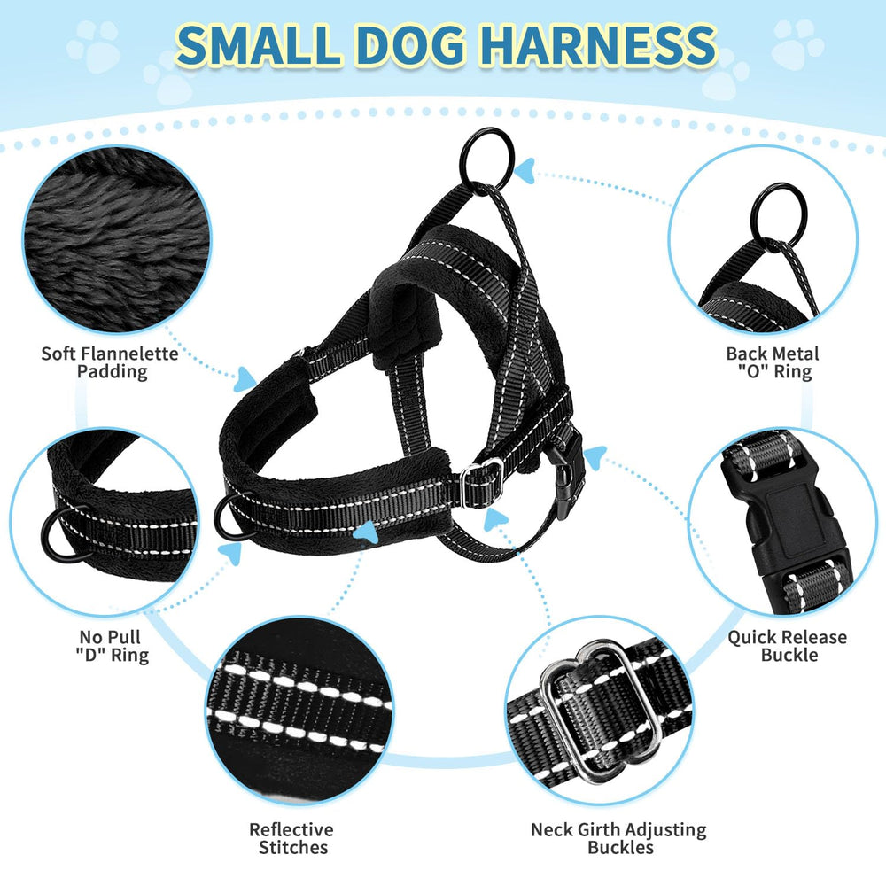 SlowTon lightweight harness with back D-ring supports easy everyday wear.