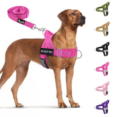 SlowTon No Pull front clip harness in fuchsia for training and daily walks