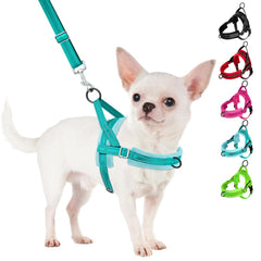 SlowTon No Pull harness front-clip guides steady control during walks.
