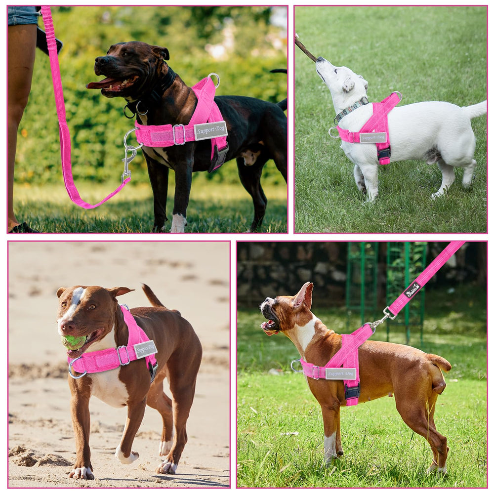 SlowTon two leash attachments support training and daily use