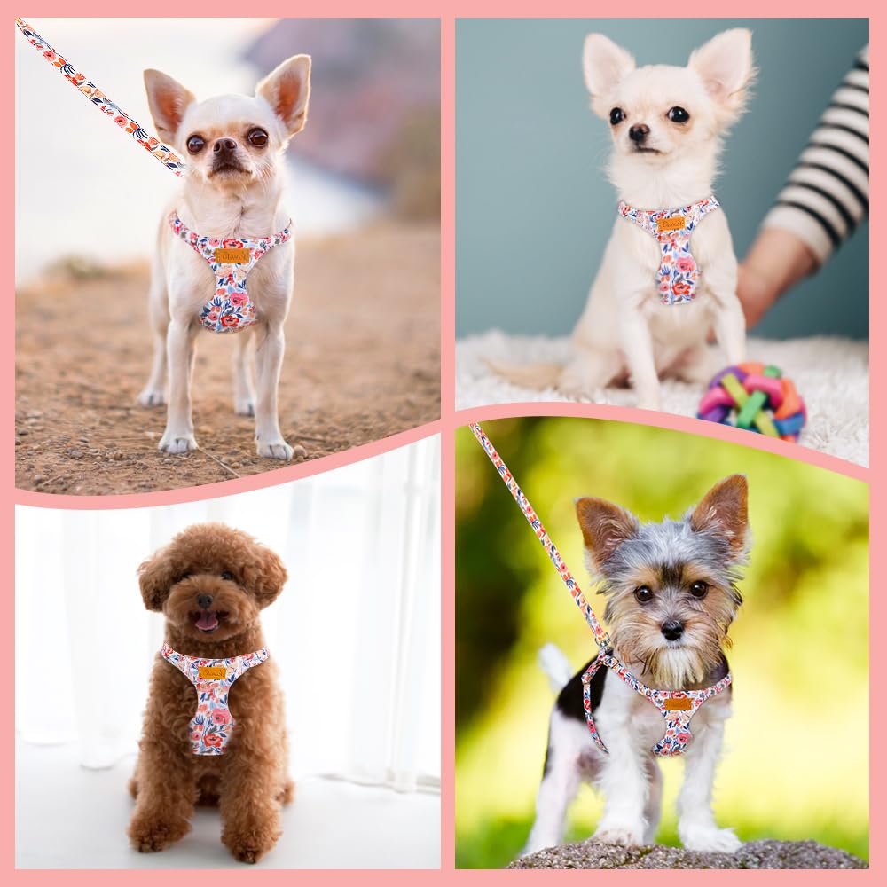 SlowTon harness includes a leash for convenient all-in-one training sessions.