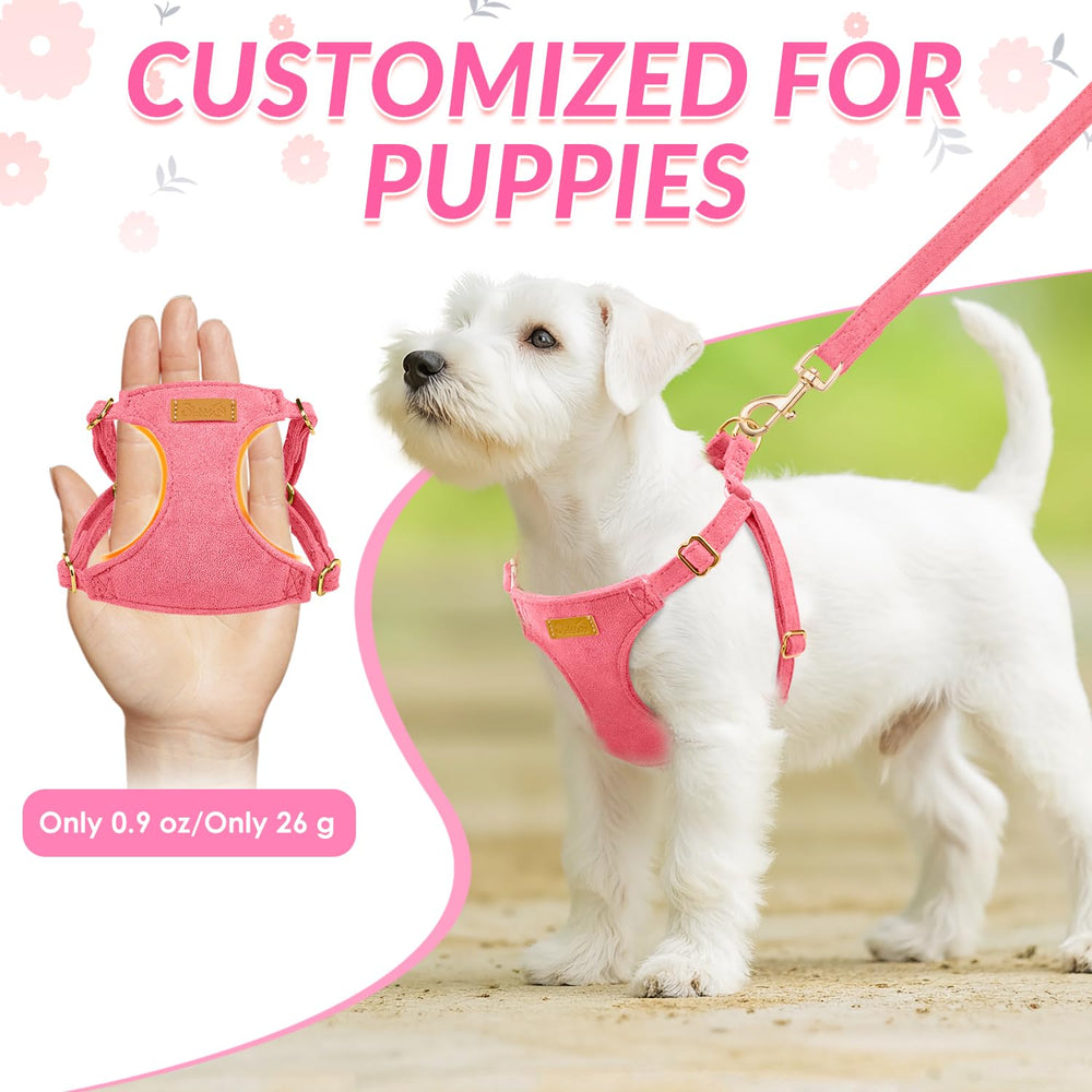 SlowTon harness and leash set with secure no-pull design for peace of mind.