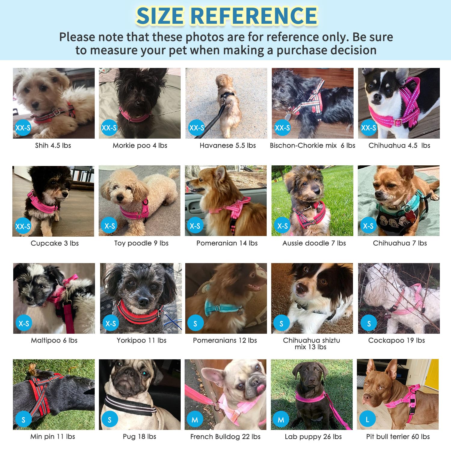 SlowTon 4ft nylon leash is sturdy for daily adventures.