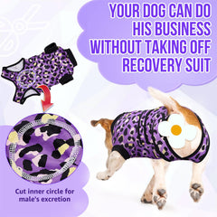 SlowTon Recovery Suit features magic patches to adjust fit for different dogs