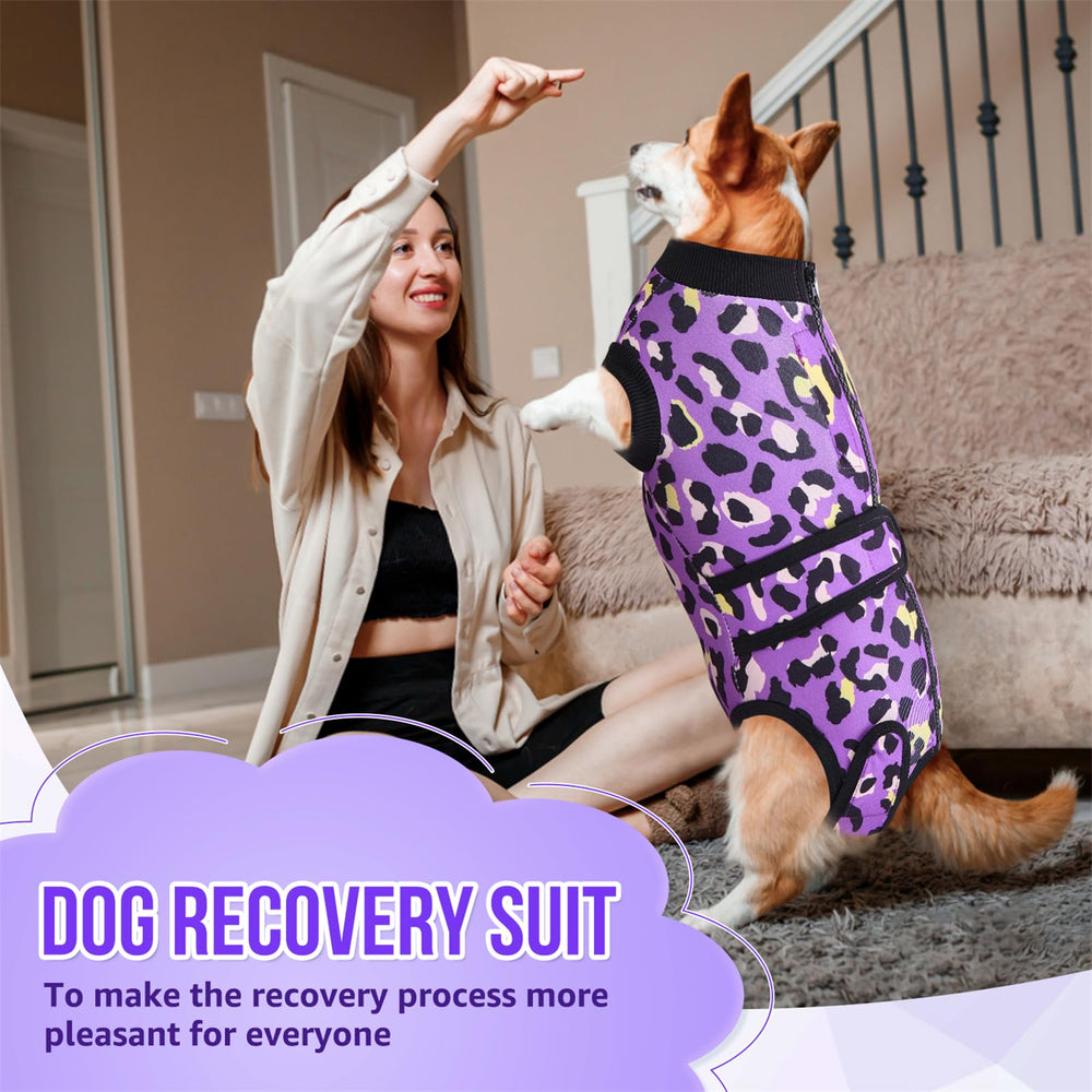 SlowTon purple leopard edition adds stylish recovery wear for dogs