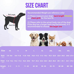 SlowTon Recovery Suit for Dogs toilet-friendly design lets potty without removal