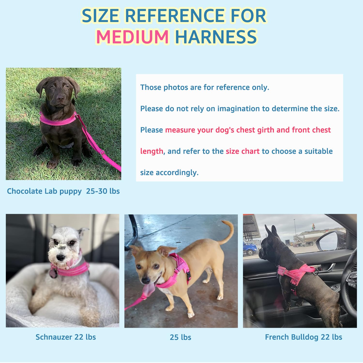 SlowTon reflective-stitching-harness enhances visibility for evening walks.