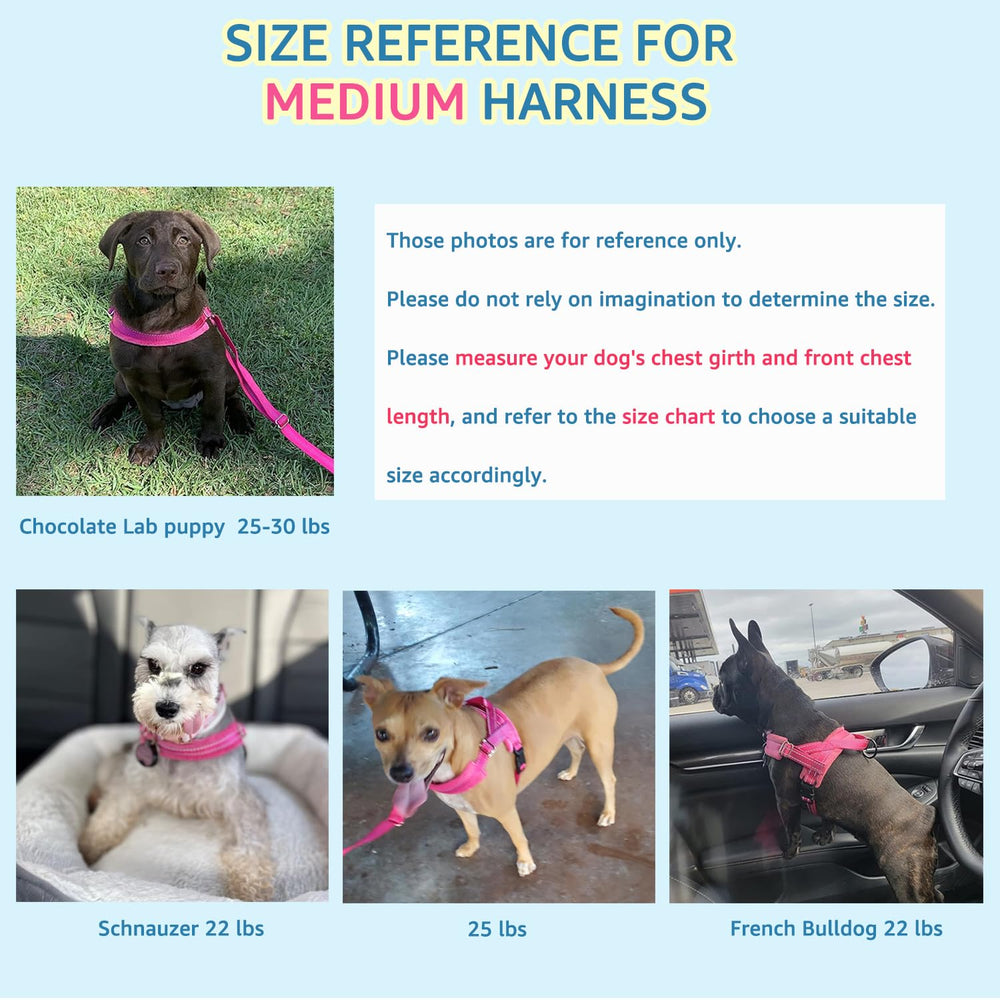 SlowTon reflective-stitching-harness enhances visibility for evening walks.