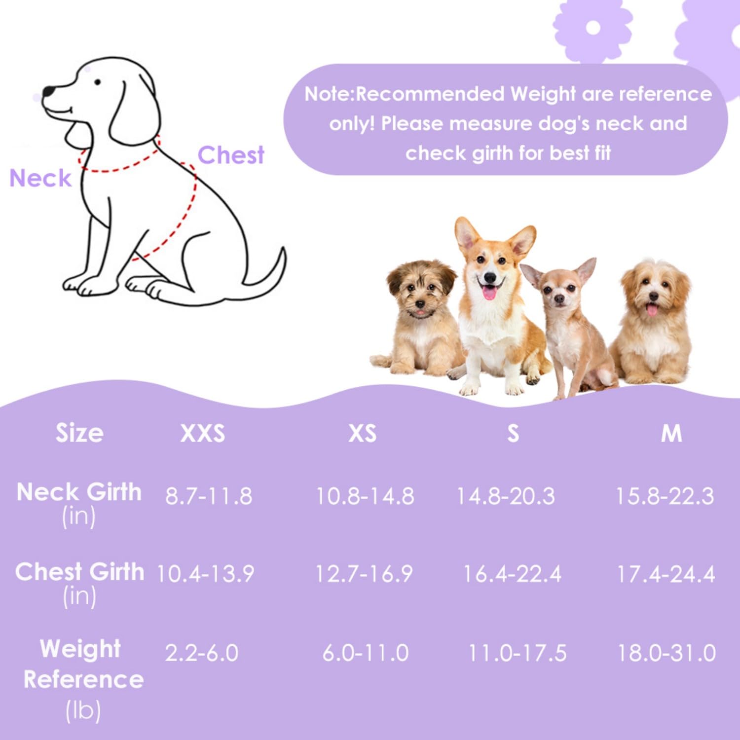 SlowTon adjustable buckles image demonstrates easy-on, easy-off for quick fit adjustments.