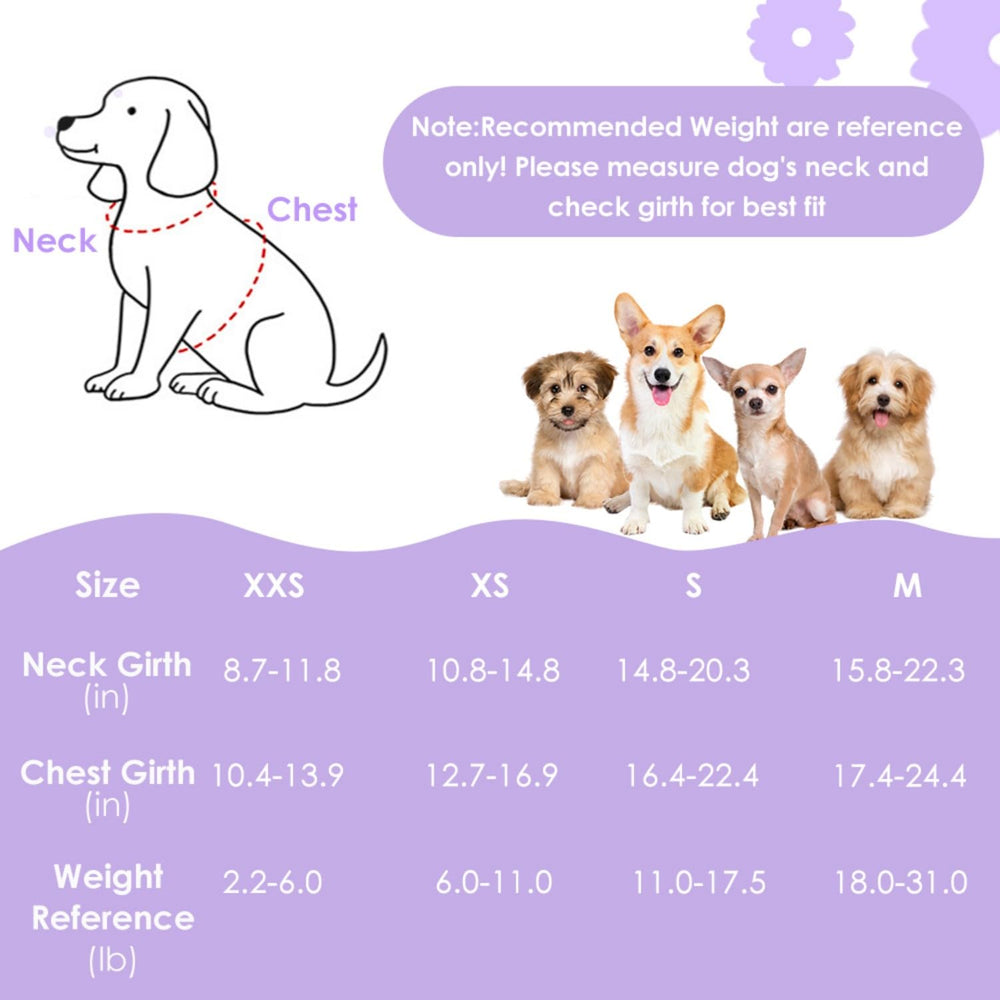 SlowTon adjustable buckles image demonstrates easy-on, easy-off for quick fit adjustments.