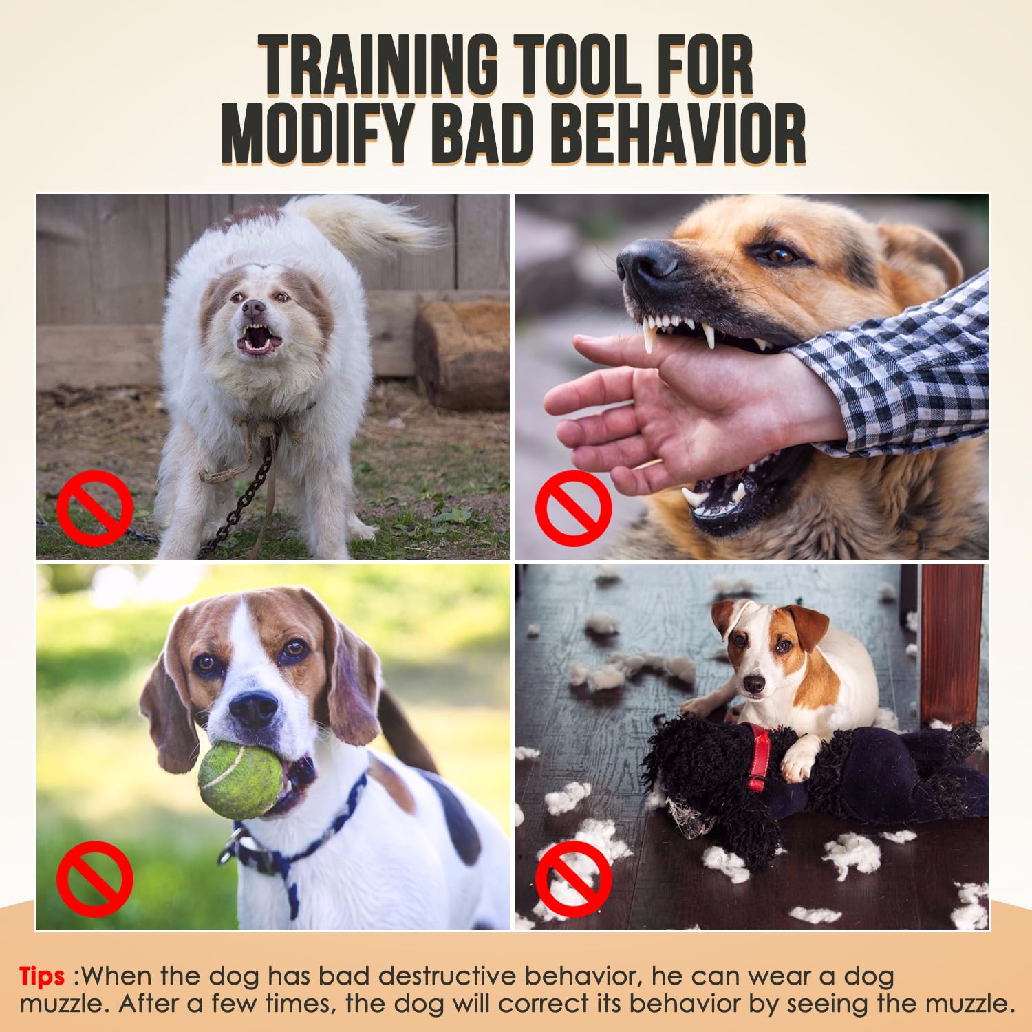 SlowTon Soft Dog Muzzle on small-size dog for daily walks.
