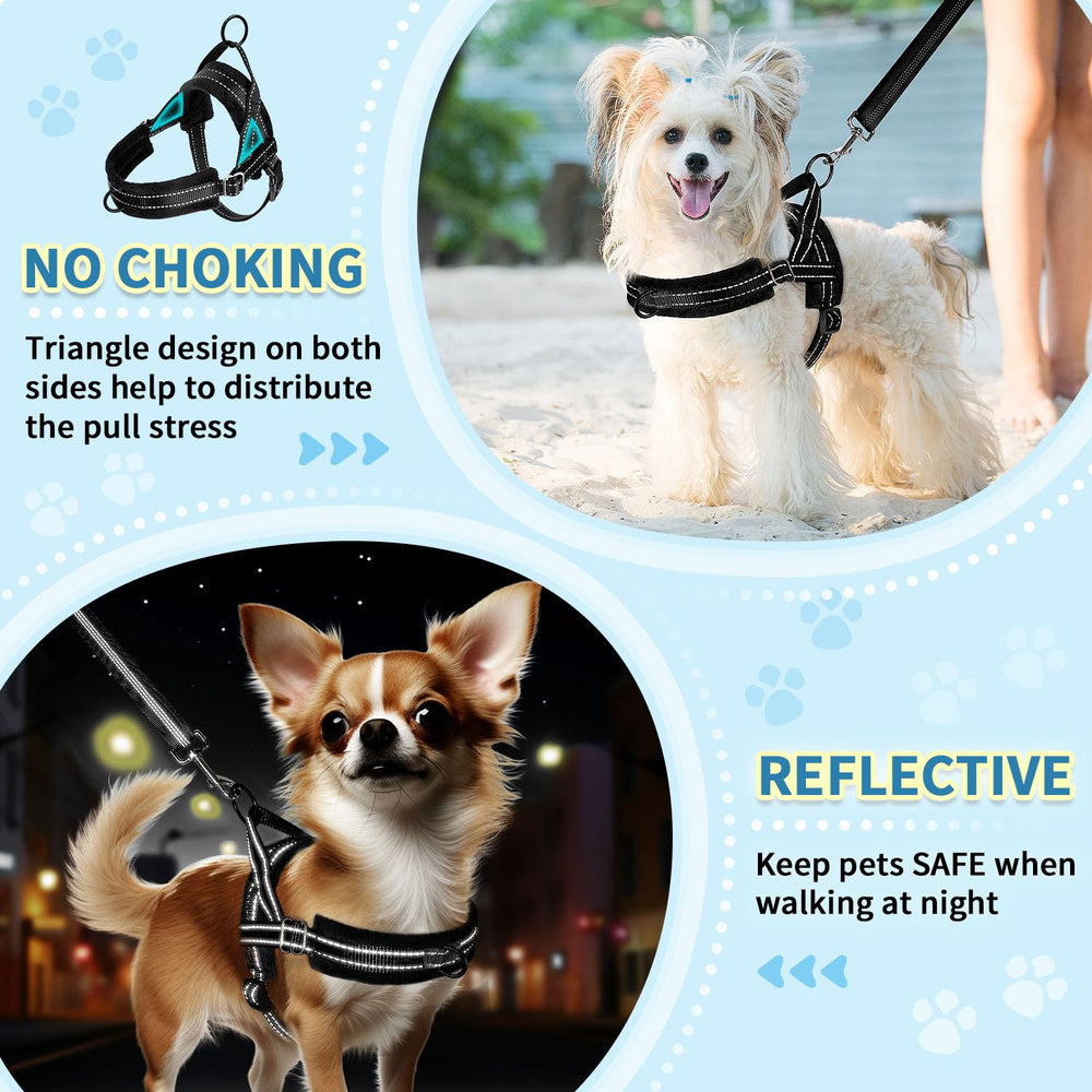 SlowTon triangle pull-distribution harness reduces strain during eager pulls.