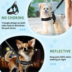 SlowTon triangle pull-distribution harness reduces strain during eager pulls.