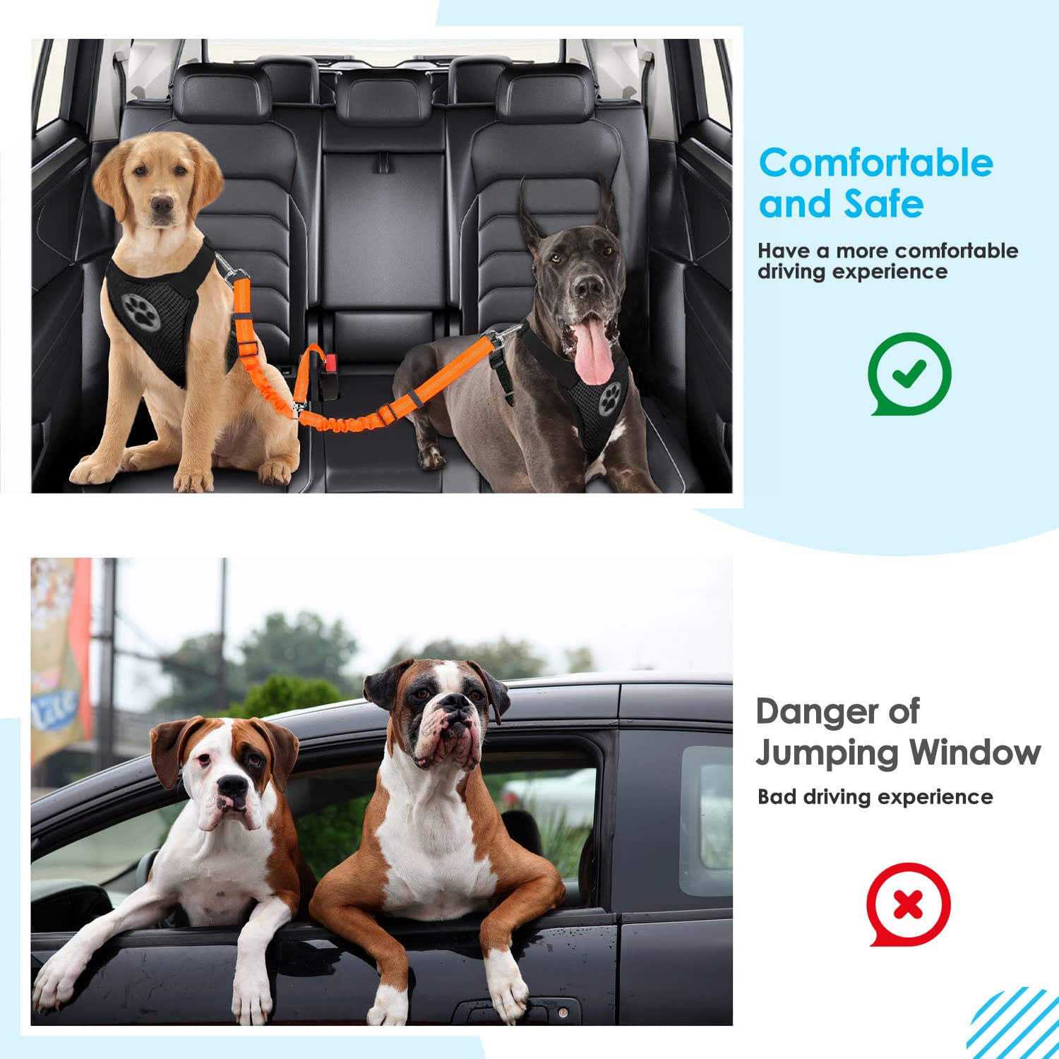 SlowTon two-dogs-in-car setup keeps pets seated with window viewing access.