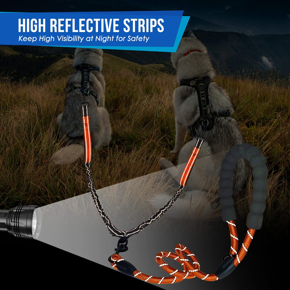 SlowTon two-dogs with coupler being used for versatile walking