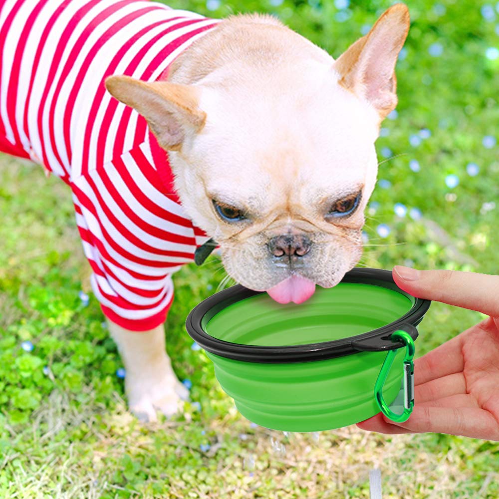 SLSON 12oz capacity bowl showing water or food on trips