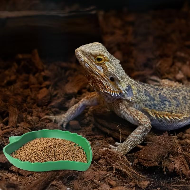 SLSON 4Pack bowls-packaged; compact, stackable storage for terrariums.