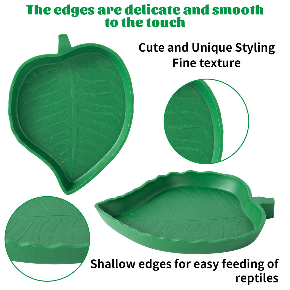 SLSON 4Pack mango large bowl; roomy feeding dish for bearded dragons.