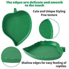SLSON 4Pack mango large bowl; roomy feeding dish for bearded dragons.