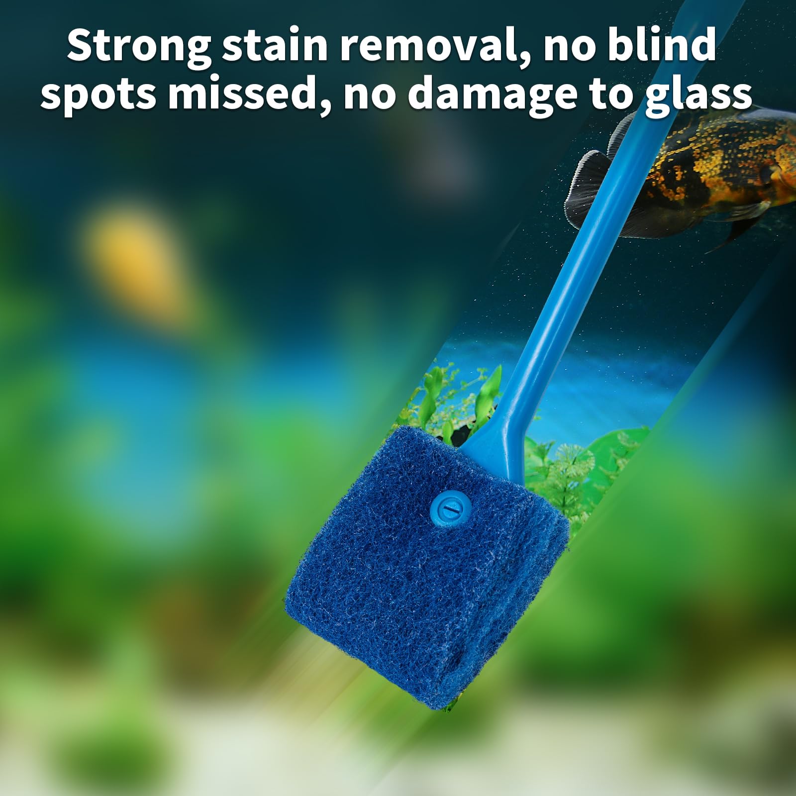 SLSON aquarium glass cleaning in action removing algae from glass