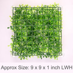 SLSON grass lawn close-up shows realistic texture and color.