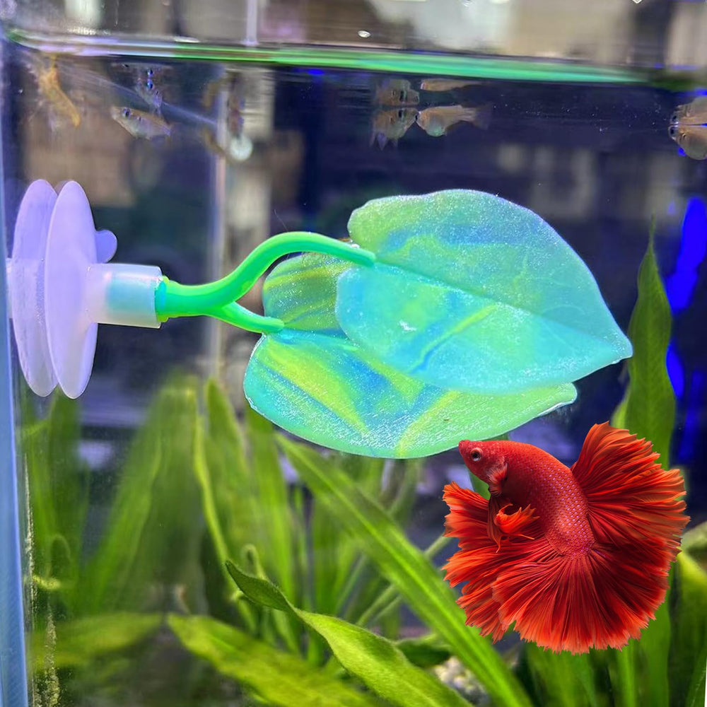 SLSON betta hammock suction cup setup showing easy tank installation.