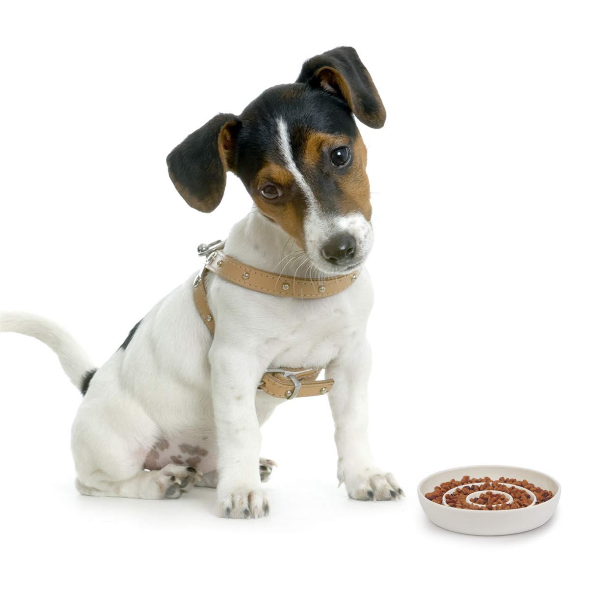 SLSON Cat Slow Feeder Bowl versatile for wet or dry food and water.