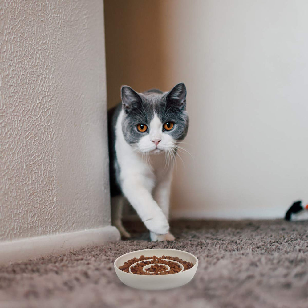 SLSON Cat Slow Feeder Bowl suitable for kittens and small pets.