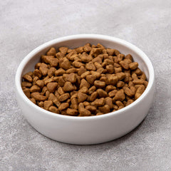 SLSON ceramic pet bowl 12-ounce capacity shown in use with water.