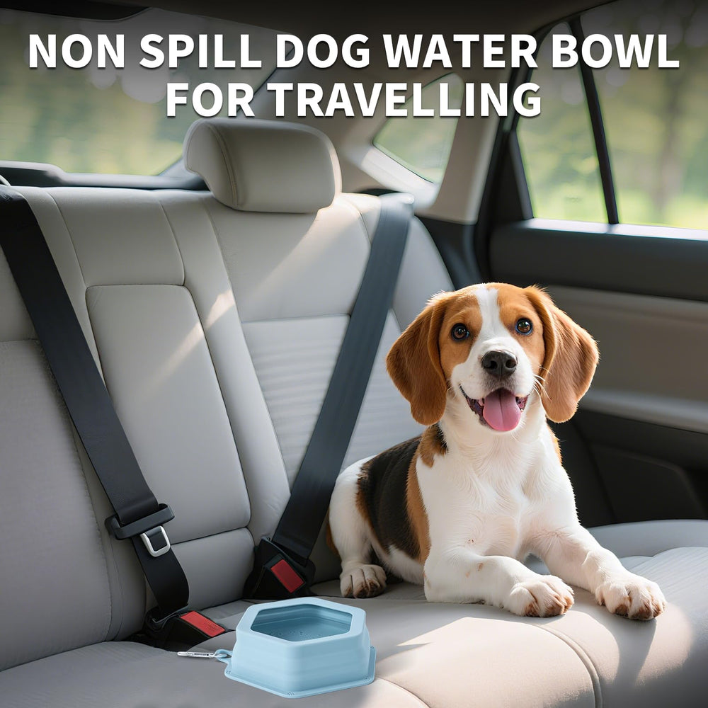 SLSON collapsible pet bowl demonstrates space-saving travel use during hikes and commutes.