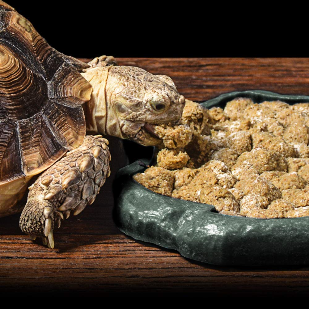 SLSON shallow 4.9 by 5.5 inch dish, suitable for baby reptiles