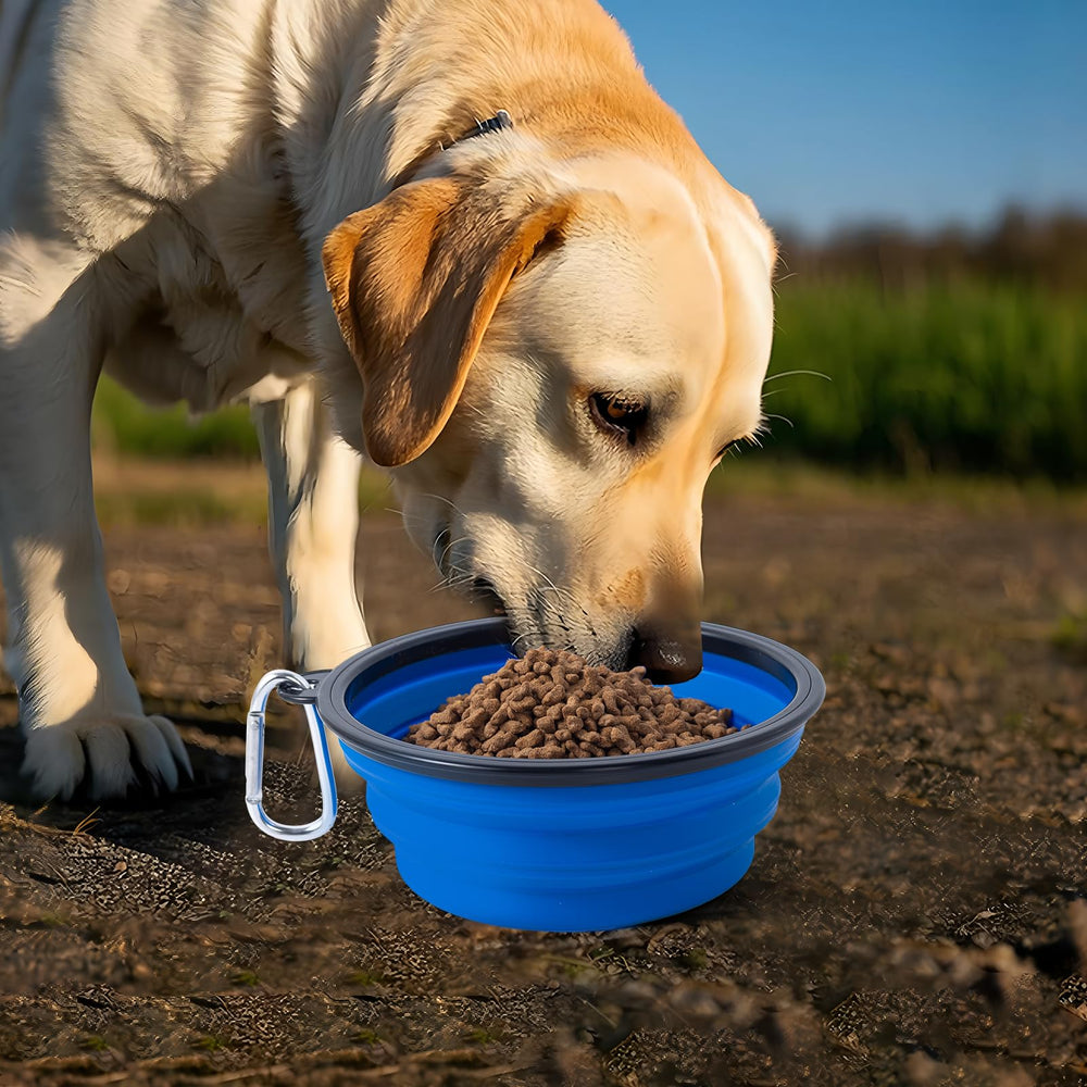 SLSON dishwasher-safe dog bowl simplifies cleanup after walks and travels