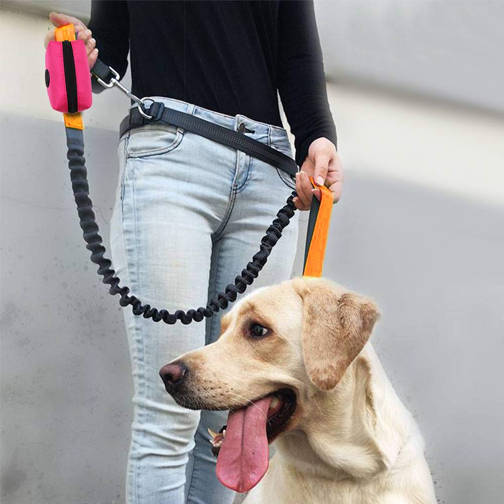 SLSON dispensers attached to leash illustrate versatile attachment options.