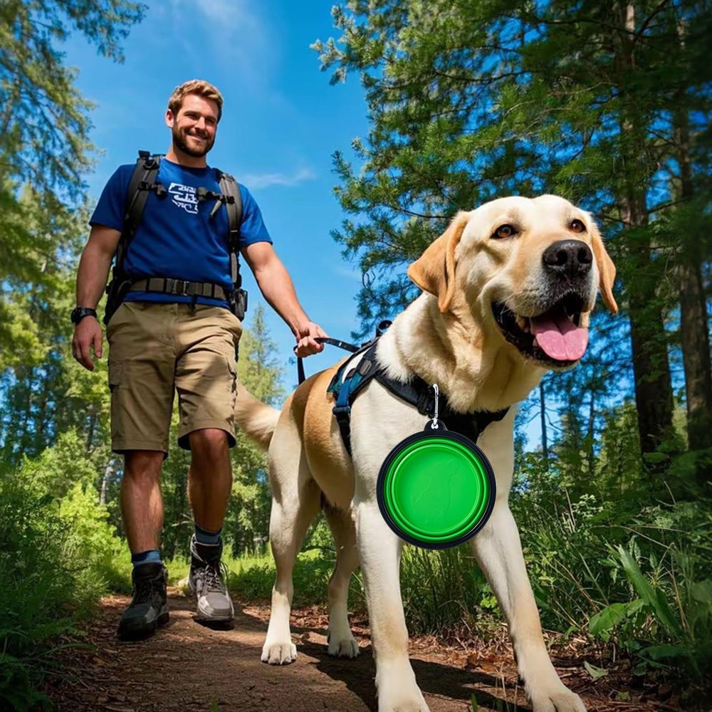 SLSON portable dog bowl holding 22 oz water or 2.8 cups food on the go