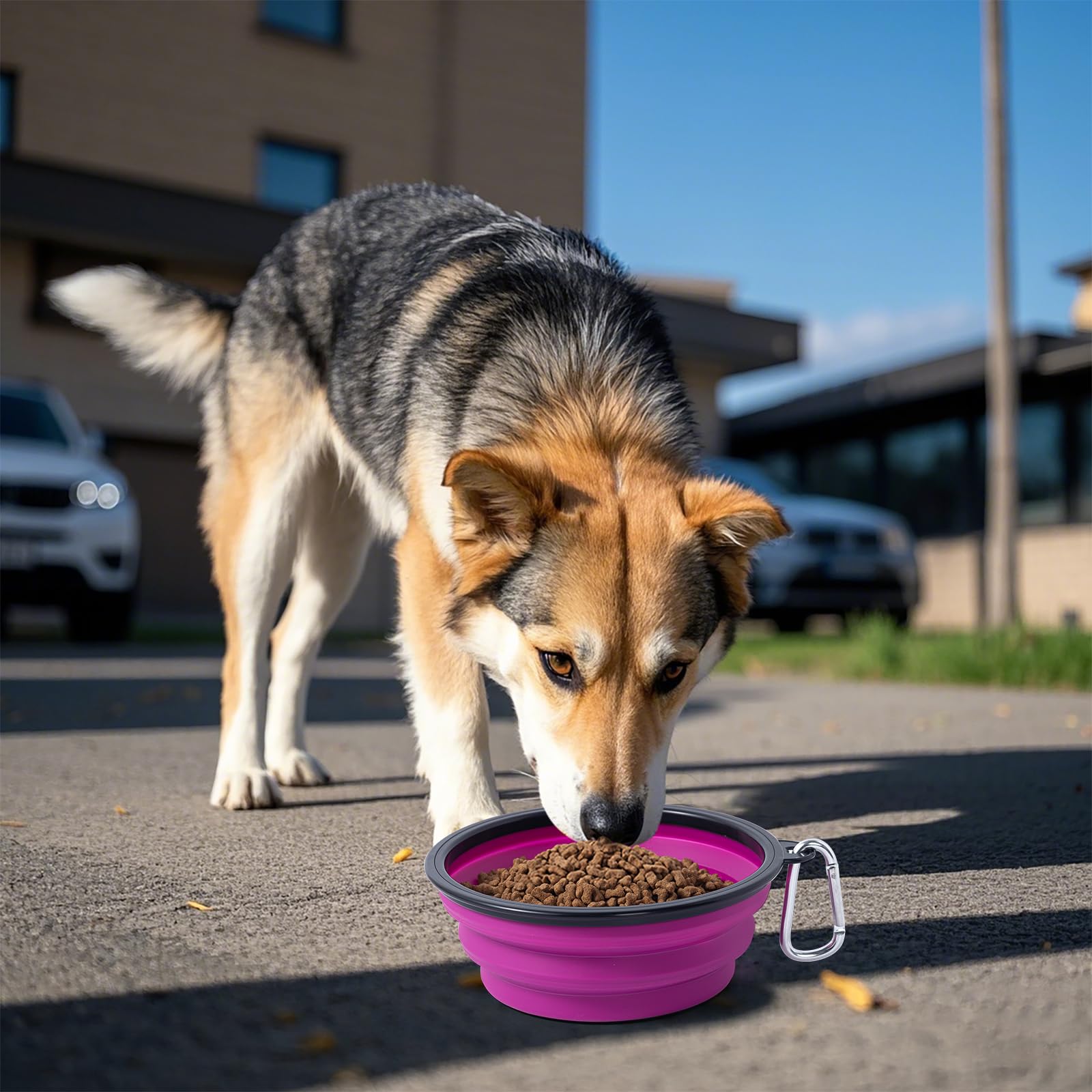 SLSON dog bowl with carabiner attachment, hands-free transport on the go.
